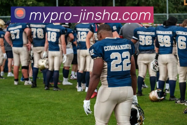 澳门金沙官网平台生态图